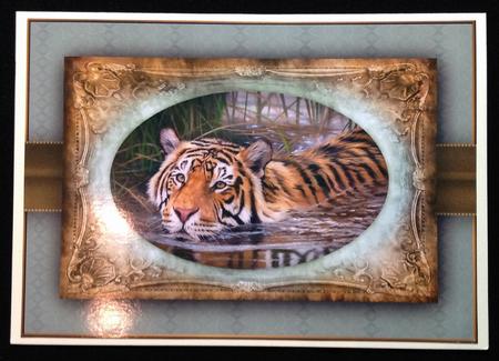 Swimming Tiger Quick Card by Carol Bath 