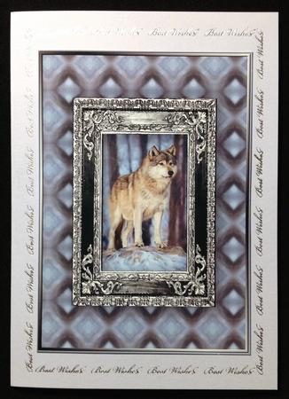 Wolf in the Forest Quick Card by Carol Bath 