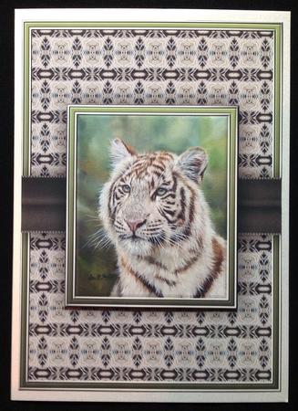 White Tiger Quick Card by Carol Bath 