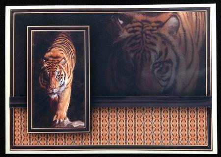 Tiger in the Shadow Quick Card by Carol Bath 