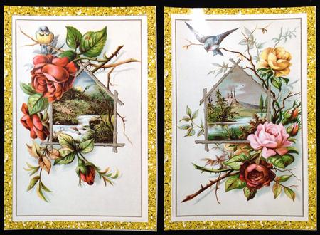 Card Fronts of Beautiful Birds with Roses by Carol Bath 