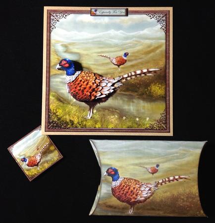 The Pheasant Field by Carol Bath 