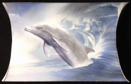 Angels of the Sea by Carol Bath 
