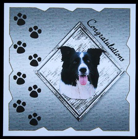 Paw Prints & Diamond Card Front/ Topper 1 by Carol Bath 