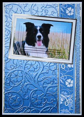 Sky Blue Swirls and Flowers Embossed with Border by Carol Bath 