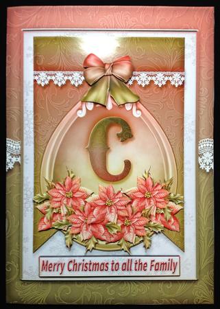 A5 Card Christmas Red Poinsettia by Carol Bath 
