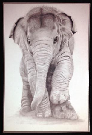 Baby Elephant by Carol Bath 