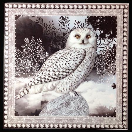 Night Owl Topper by Carol Bath 