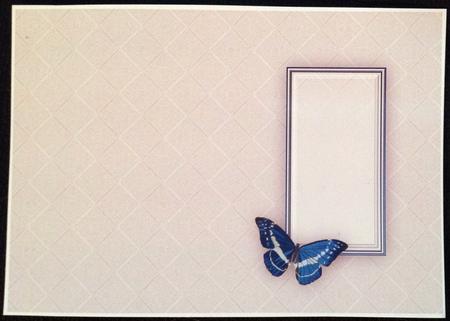 Gentian and Butterflies Insert by Carol Bath 