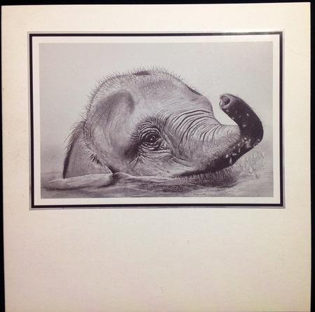 Pencil Elephant by Carol Bath 