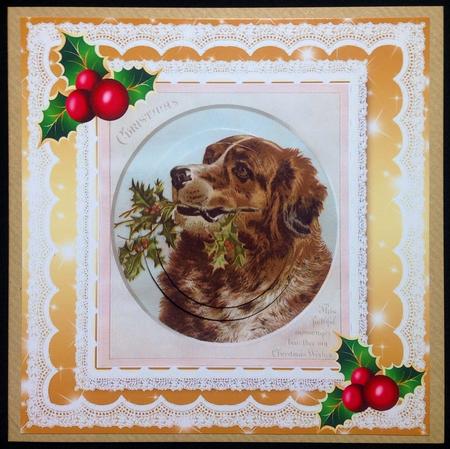 Faithful Old Friend with Holly 8x8 by Carol Bath 