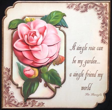 A Single Rose -  by Carol Bath 