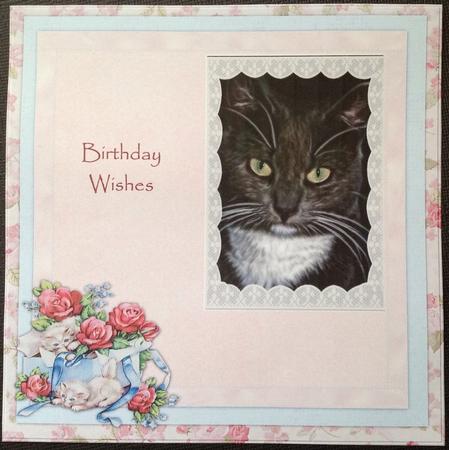 Insert Vintage Kittens & Roses by Carol Bath 