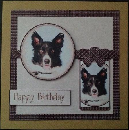 Mix'n'match - Border Collie by Carol Bath 