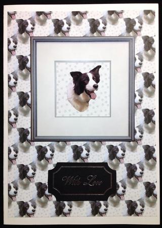 Border Collie Portrait Background by Carol Bath 