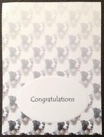 Border Collie Portrait Insert by Carol Bath 