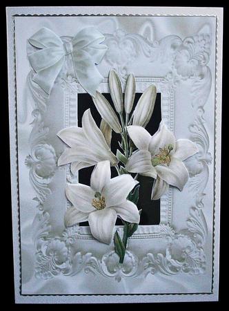 White Lillies by Carol Bath 