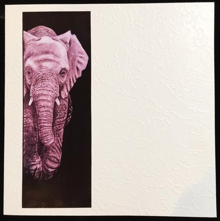 Graphite Elephant by Carol Bath 