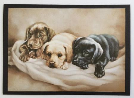 Three in a Bed by Carol Bath 