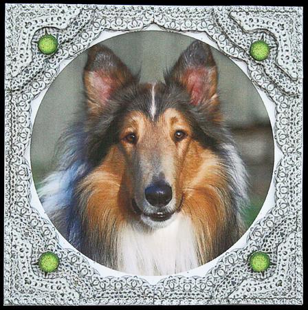 Rough Collie Dog - Step by Step Lace Frame Corner Stacker by Carol Bath 
