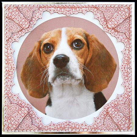 Beagle Puupy Hound Dog Sbys Lace Framed Corner Stacker by Carol Bath 