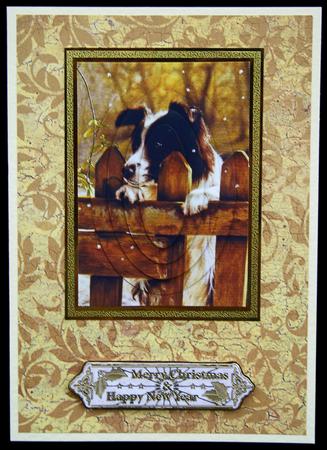 Collie Watch by Carol Bath 