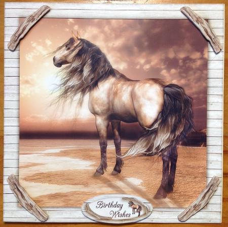 The Sunset by Carol Bath 