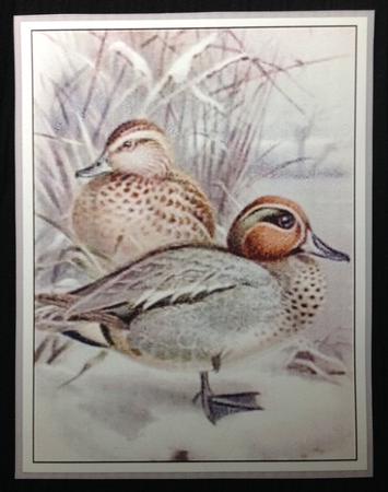 Christmas in the Reeds by Carol Bath 