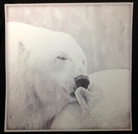 Polar Bear Kisses Watercolour Pyramid Topper by Carol Bath 