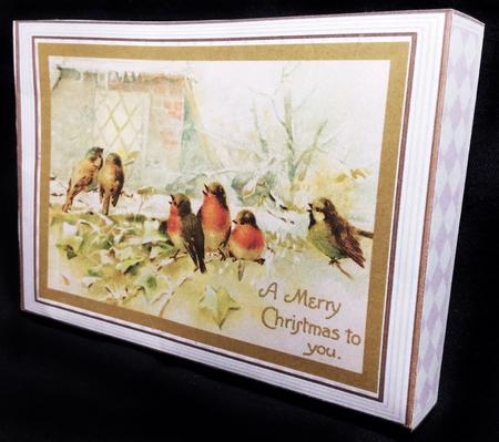 Christmas Birds A4 by Carol Bath 