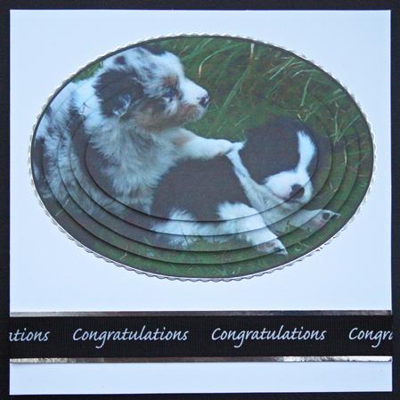 Playful Puppy Pyramid by Carol Bath 