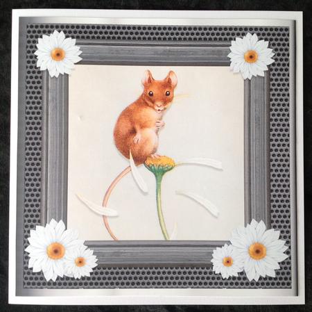 She Love Me by Carol Bath 