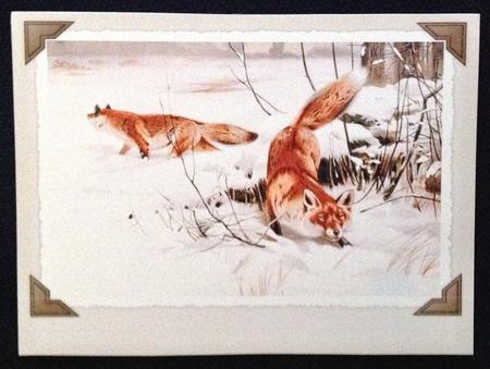 Fox Toppers, Arctic Fox, Red Fox, White Fox by Carol Bath 