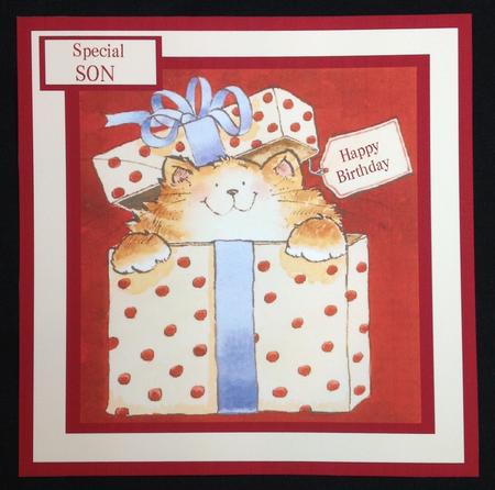 Son Birthday Card with Cat in Gift Box by Carol Bath 