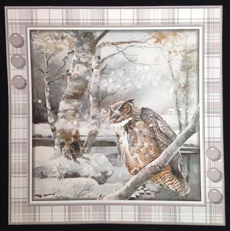 Wise Old Owl Card Topper 2 by Carol Bath 