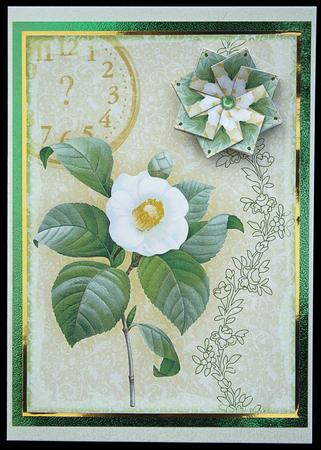 Vintage Floral 73.1 Camellia by Carol Bath 