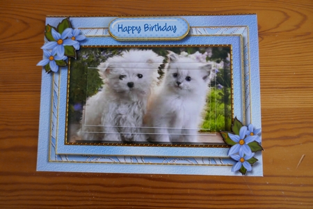 Gorgeous Friends Forever by Carol Saunders 