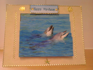 Dolphins at Play - Side Stacker by Carol Pollock