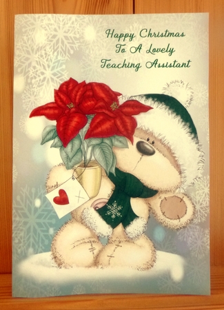 Teaching Assistant by CAROL LODGE