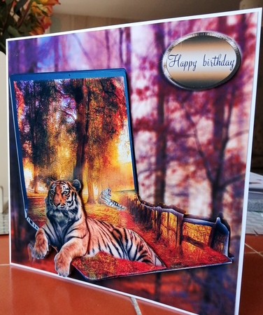 resting tigers  by CAROL LODGE