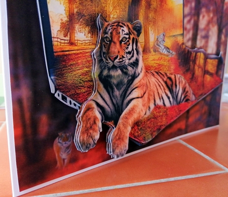 resting tigers  by CAROL LODGE