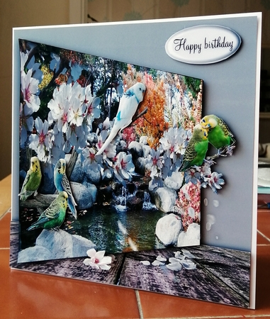 budgies at the waterfall by CAROL LODGE