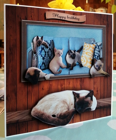 some me time by CAROL LODGE