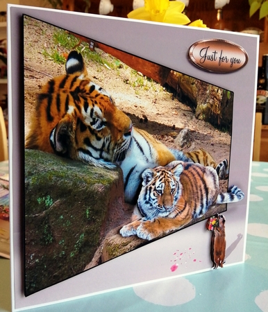 a gift by CAROL LODGE