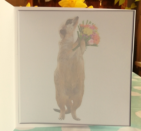 a gift by CAROL LODGE