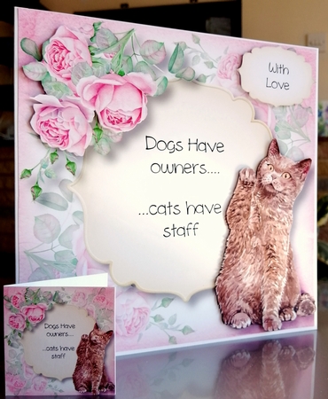 Cats Have Staff 8x8 by CAROL LODGE