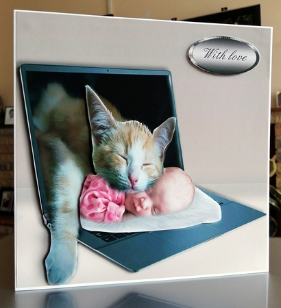 nap time by CAROL LODGE