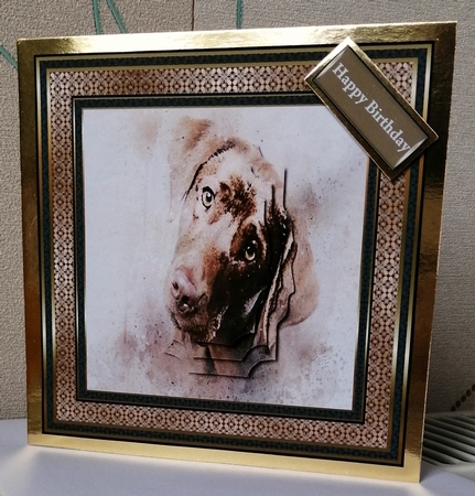 Brown labrador 7x7 card by CAROL LODGE