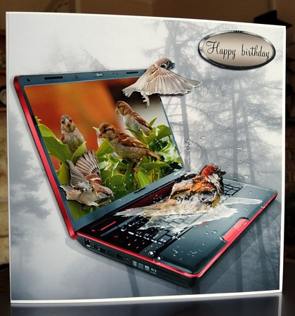 sparrows bathtime by CAROL LODGE