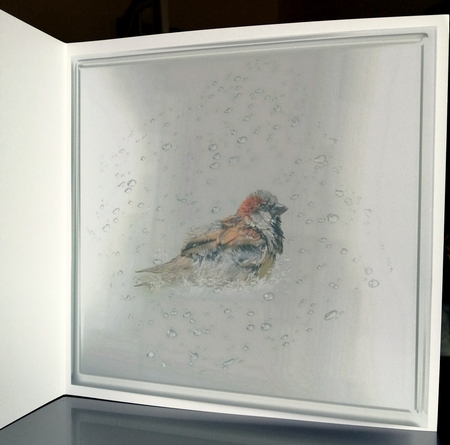 sparrows bathtime by CAROL LODGE